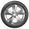 Ikon (Nokian Tyres) Autograph Ice 10 заказать